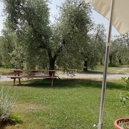 مزرعة للإقامة Fioralba