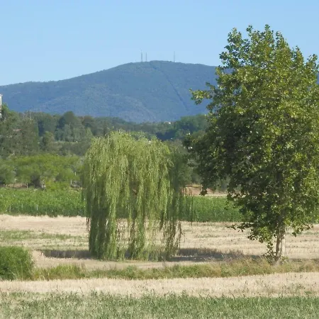 Lantgård Fioralba